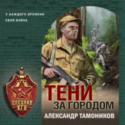 Тени за городом - Александр Тамоников