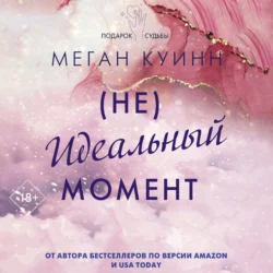 (Не)идеальный момент - Меган Куинн