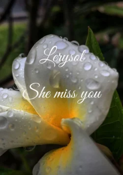 She miss you - Lerysol