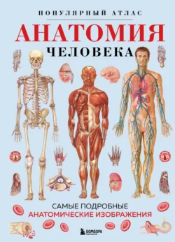 Анатомия человека. Популярный атлас. Самые подробные анатомические изображения - Сборник