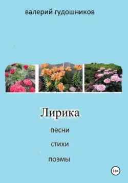 Лирика жизни. Песни, стихи, поэмы, аудиокнига Валерия Гудошникова. ISDN71220109