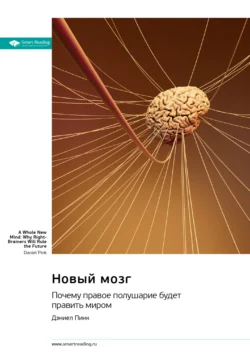 Новый мозг. Почему правое полушарие будет править миром. Дэниел Пинк. Саммари, аудиокнига Smart Reading. ISDN71220355