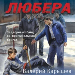 Любера. От дворовых банд до криминальных бригад - Валерий Карышев