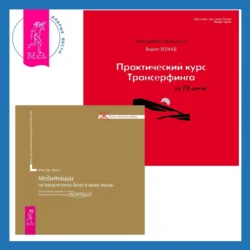 Практический курс Трансерфинга за 78 дней + Медитации на привлечение денег в вашу жизнь - Вадим Зеланд