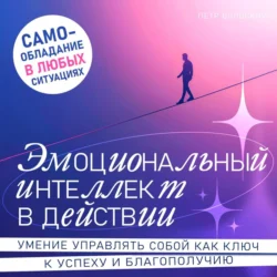 Эмоциональный интеллект в действии - Петр Вольский