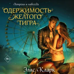 Вопреки и навсегда. Одержимость Желтого Тигра, audiobook Элис Кларк. ISDN71228731