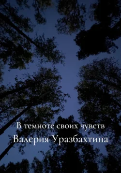 В темноте своих чувств, аудиокнига Валерии Евгеньевны Уразбахтиной. ISDN71232412