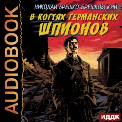 В когтях германских шпионов - Николай Брешко-Брешковский