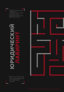 Юридический лабиринт: практические советы и стратегии для студентов юридического факультета (под редакцией Чигаревой Анны) - Максим Вахтин