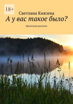 А у вас такое было? Ироничные рассказы - Светлана Князева