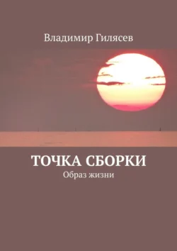 Точка сборки. Образ жизни - Владимир Гилясев