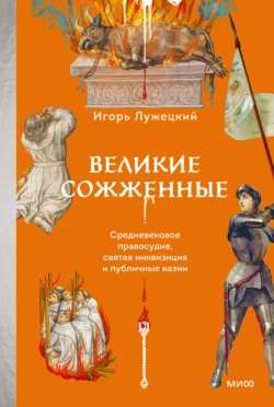 Великие сожженные. Средневековое правосудие, святая инквизиция и публичные казни - Игорь Лужецкий