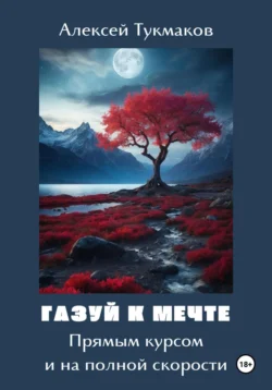 Газуй к Мечте: Прямым курсом и на полной скорости - Алексей Тукмаков