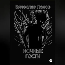 Ночные гости - Вячеслав Панов