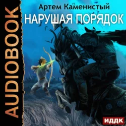 Нарушая ПОРЯДОК - Артем Каменистый