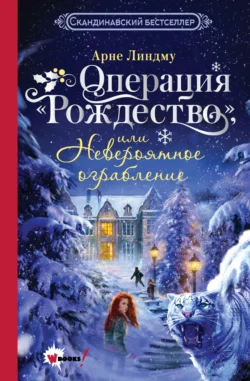 Операция «Рождество», или Невероятное ограбление - Арне Линдму