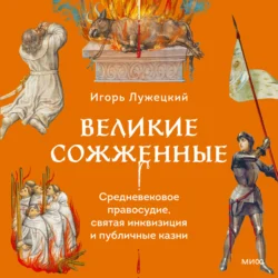 Великие сожженные. Средневековое правосудие, святая инквизиция и публичные казни - Игорь Лужецкий