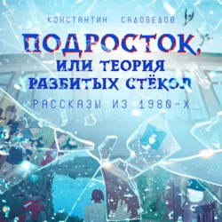 Подросток, или Теория разбитых стёкол, audiobook Константина Павловича Садоведова. ISDN71254765