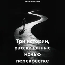 Три истории, рассказанные ночью перекрёстке, аудиокнига Антона Аркадьевича Измерлиева. ISDN71255398