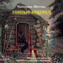 Лесные ведуньи - Екатерина Шитова