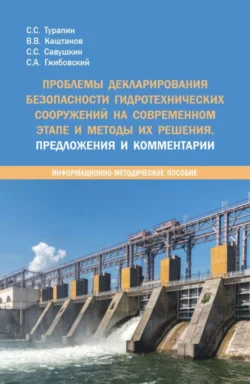 Проблемы декларирования безопасности гидротехнических сооружений на современном этапе и методы их решения. Предложения и комментарии. (Бакалавриат, Магистратура, Специалитет). Методическое пособие. - Сергей Турапин