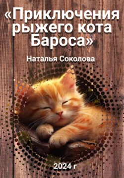 Приключения рыжего кота Бароса - Наталья Соколова