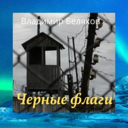 Черные флаги - Владимир Беляков