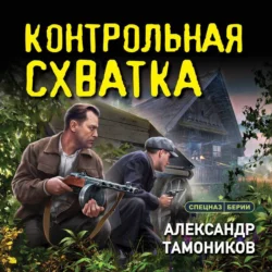 Контрольная схватка - Александр Тамоников