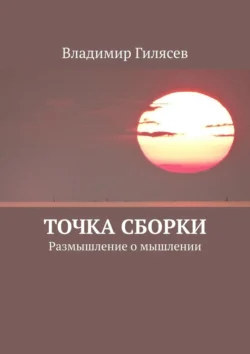 Точка сборки. Размышление о мышлении - Владимир Гилясев