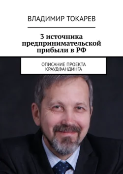 3 источника предпринимательской прибыли в РФ. Описание проекта краудфандинга - Владимир Токарев