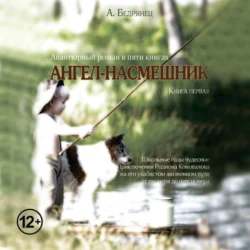 Ангел-насмешник. Книга первая - Александр Бедрянец