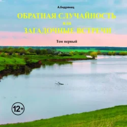 Обратная случайность или Загадочные встречи. Том первый - Александр Бедрянец
