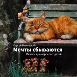 Мечты сбываются - Сергей Быковский