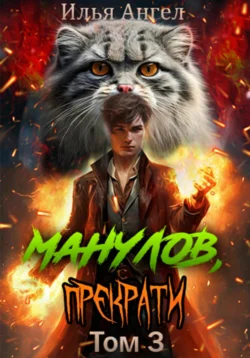 Манулов, прекрати! Том 3 - Илья Ангел