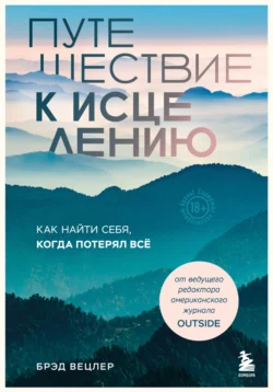 Путешествие к исцелению. Как найти себя, когда потерял всё - Брэд Вецлер