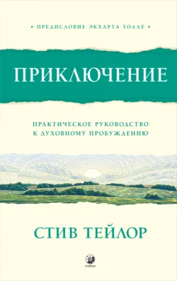 Приключение. Практическое руководство к духовному пробуждению - Стив Тейлор