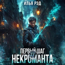 Первый шаг Некроманта. Том 4 - Илья Рэд