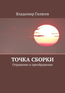 Точка сборки. Отражение и преображение - Владимир Гилясев