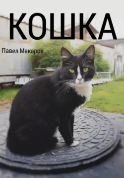 Кошка - Павел Макаров