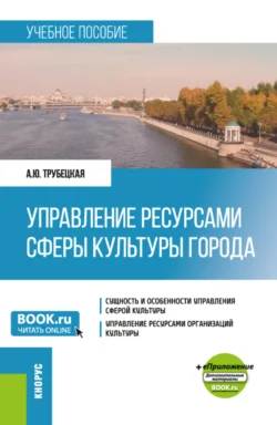 Управление ресурсами сферы культуры города и еПриложение. (Бакалавриат). Учебное пособие. - Анастасия Трубецкая