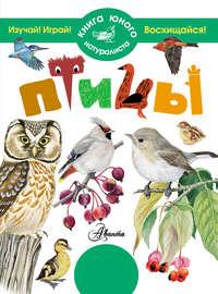 Птицы, audiobook П. М. Волцита. ISDN7325420