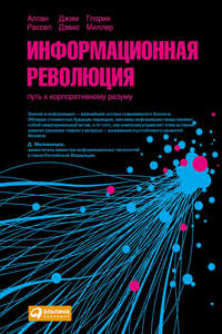 Информационная революция. Путь к корпоративному разуму - Джим Дэвис