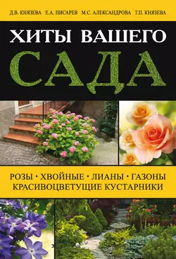 Хиты вашего сада. Розы, хвойные, лианы, газоны, красивоцветущие кустарники - Дарья Князева