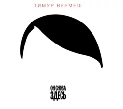 Он снова здесь - Тимур Вермеш