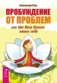 Пробуждение от проблем, или Как Вася Пупкин нашел себя, аудиокнига Александра Руля. ISDN8632375