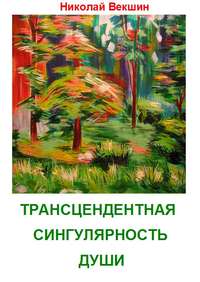 Трансцендентная сингулярность души (сборник), аудиокнига Н. Л. Векшина. ISDN8891325