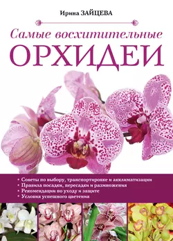 Самые восхитительные орхидеи - Ирина Зайцева