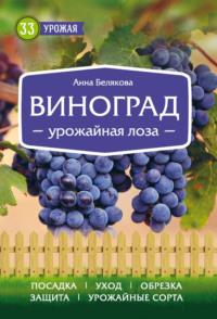 Виноград. Урожайная лоза, audiobook Анны Беляковой. ISDN9065237