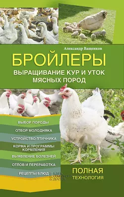 Бройлеры. Выращивание кур и уток мясных пород - Александр Ващенков