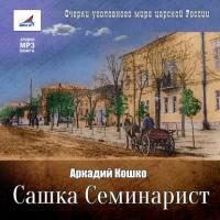 Сашка Семинарист, książka audio Аркадия Кошко. ISDN9528508